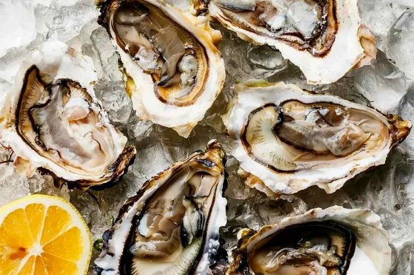 Устрицы Белон