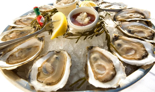 Устрица Белон Франция