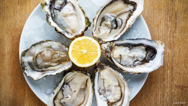 Устрица Дибба Бэй