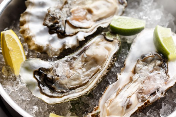 Устрицы на столе
