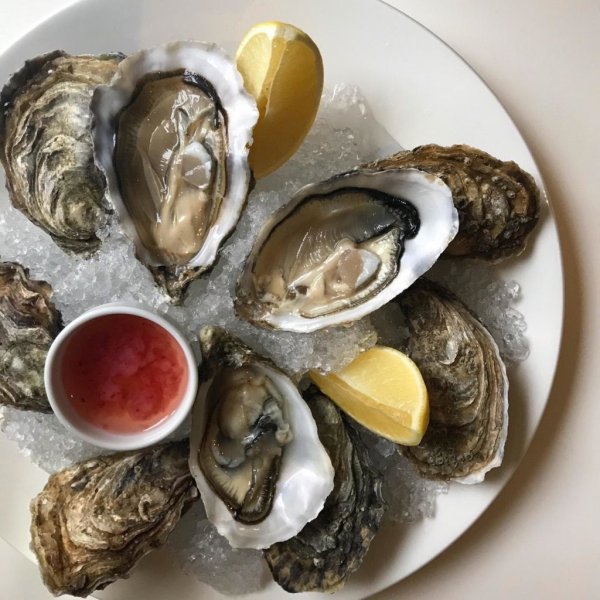 Устрицы Португалия