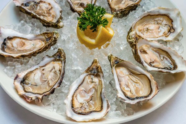 Устрицы в Ялте