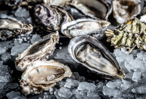 Кадр красотка и устрицы