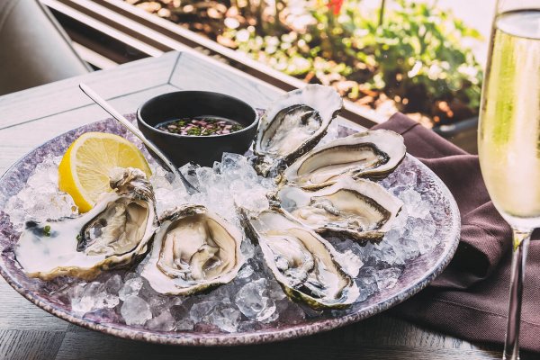 Дегустация устриц Франция