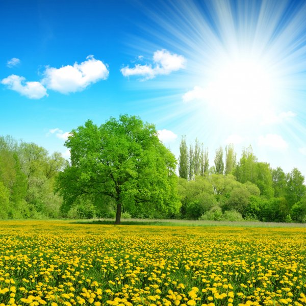 Солнечный пейзаж