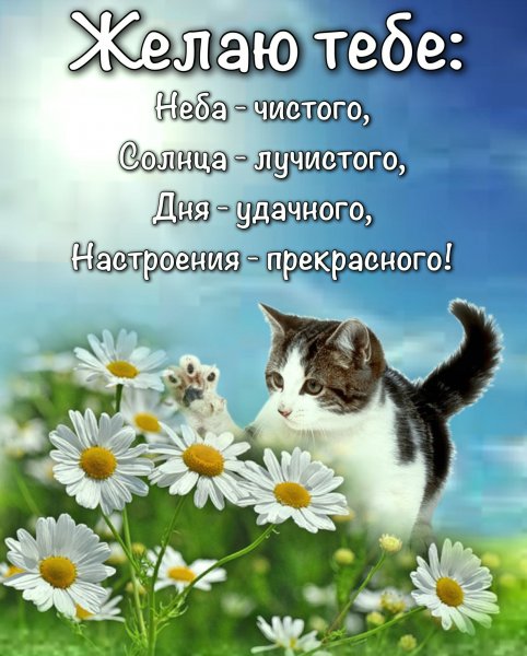 Добрые пожелания