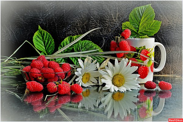 Доброго летнего утречка и хорошего дня