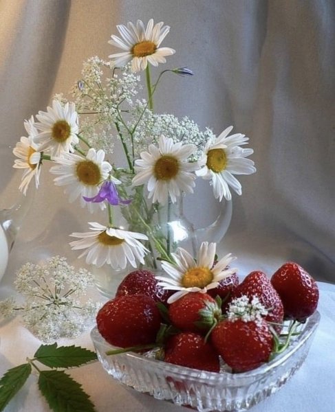 Летний натюрморт