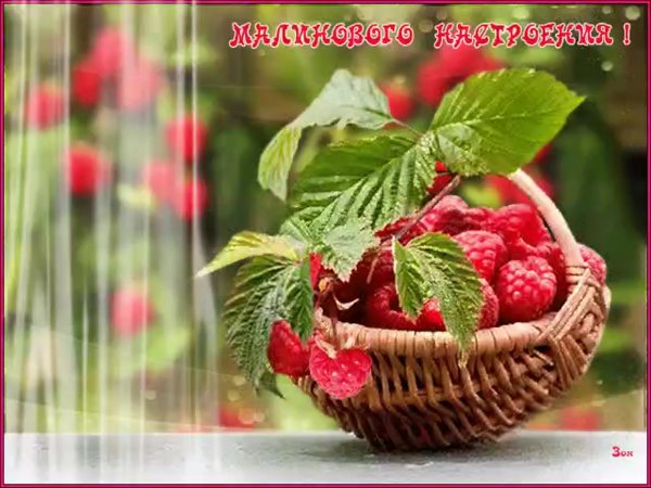 Хорошего летнего дня и отличного настроения