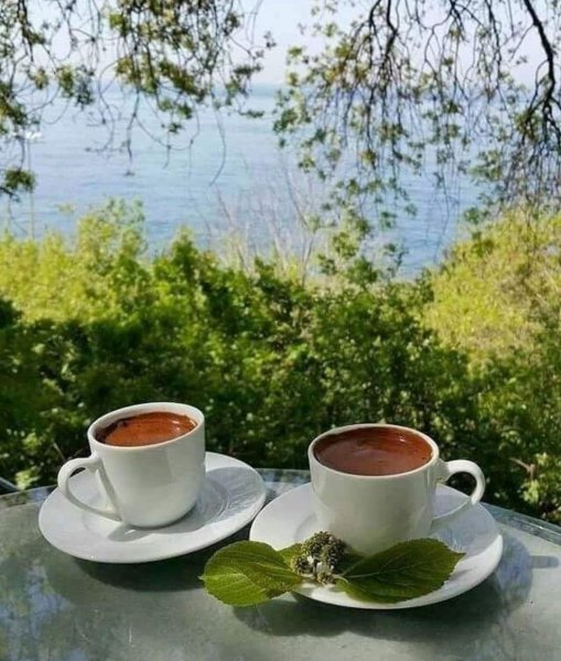 Чай на природе