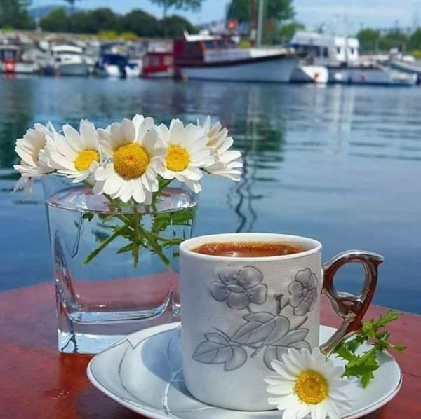 Доброе солнечное утро