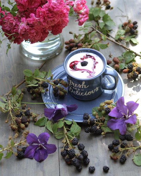 Добрый вечер с ежевикой