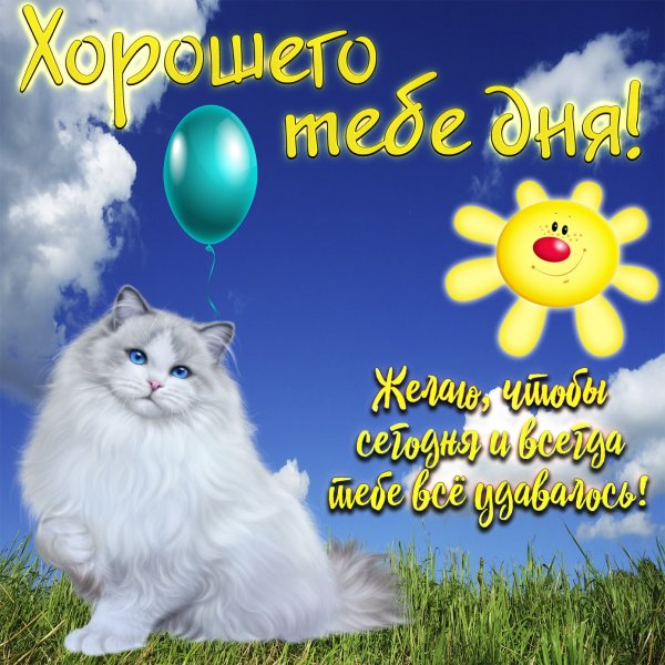 Хорошего тебе дня