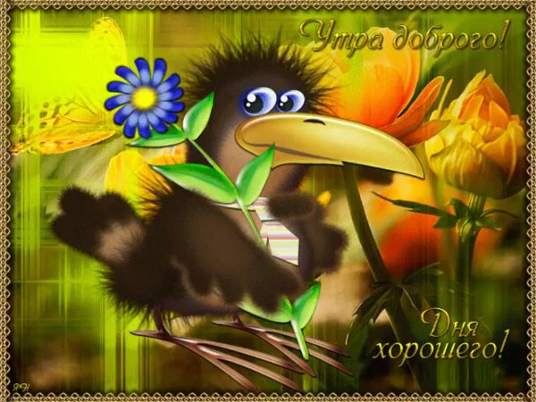 Пожелания доброго дня прикольные