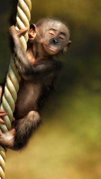 Пожелания доброго дня прикольные