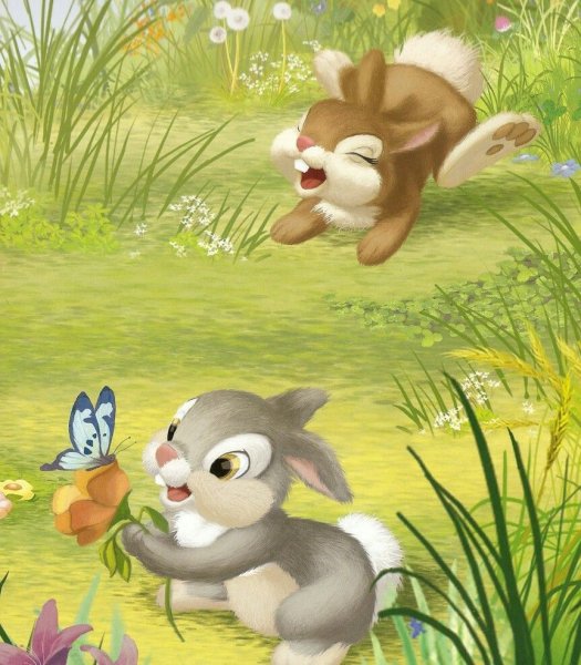 Доброе утро зайчик