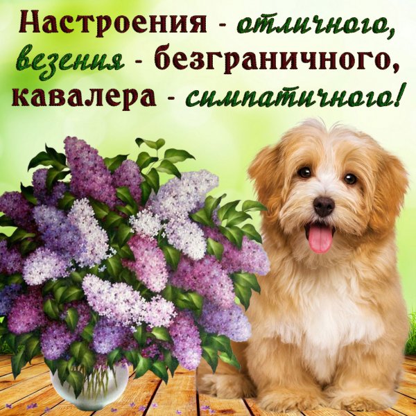 Ааатличного настроения