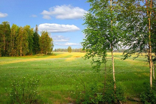 Русская природа средней полосы