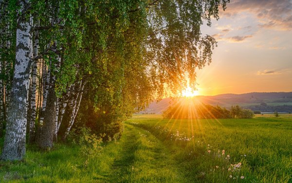 Красивая русская природа