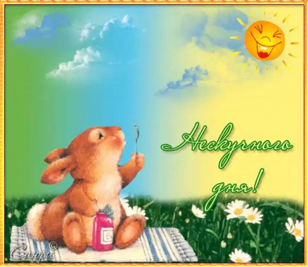 Гифки с добрым днем смешные