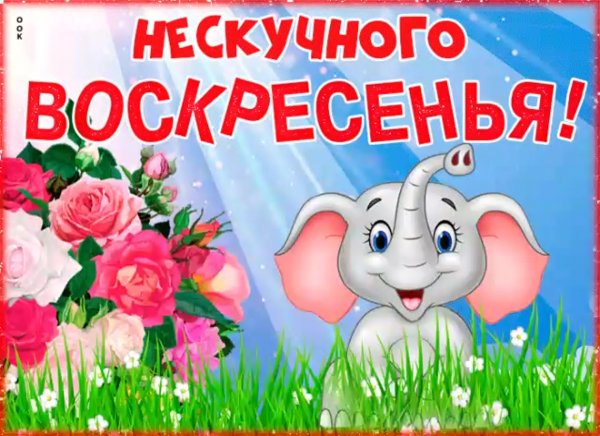 Нескучного воскресенья