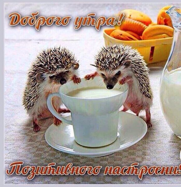 С добрым утром хорошего дня и отличного настроения
