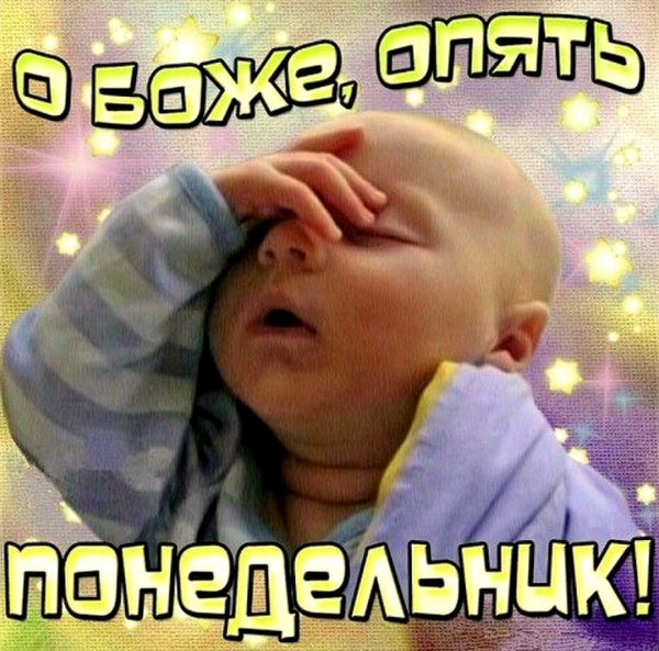 Опять понедельник смешные