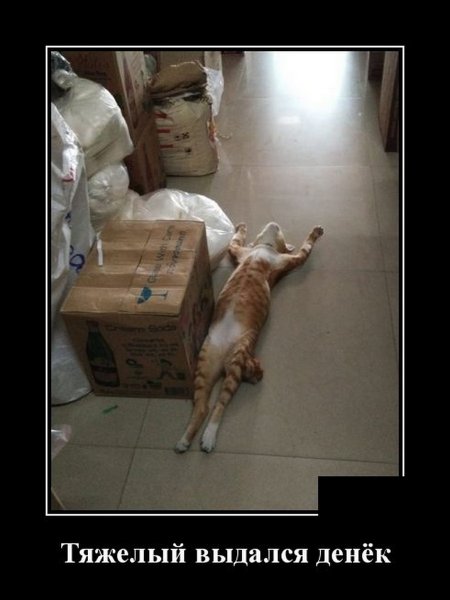 Тяжелый выдался день