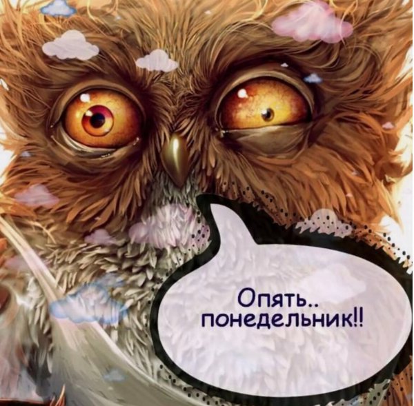 Понедельник картинки прикольные