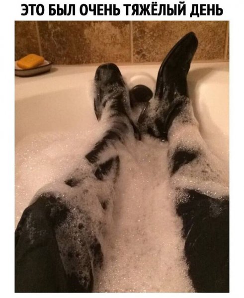 Это был тяжелый день