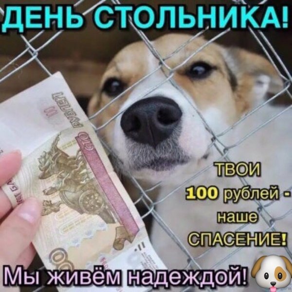 День стольника
