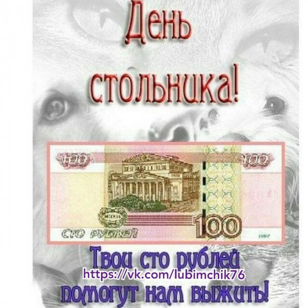 День стольника