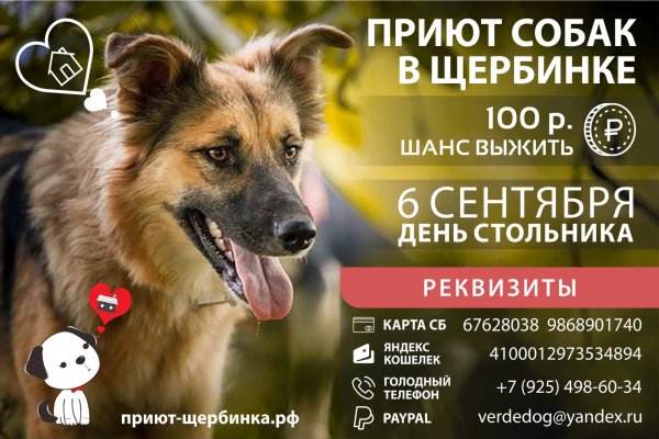 День стольника