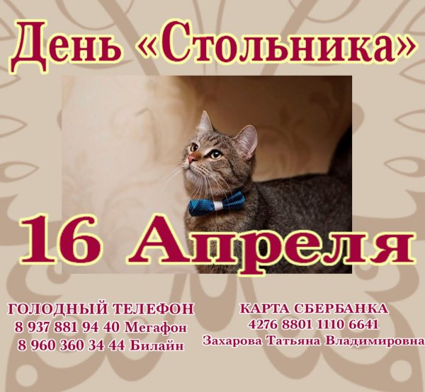 День стольника для кошек