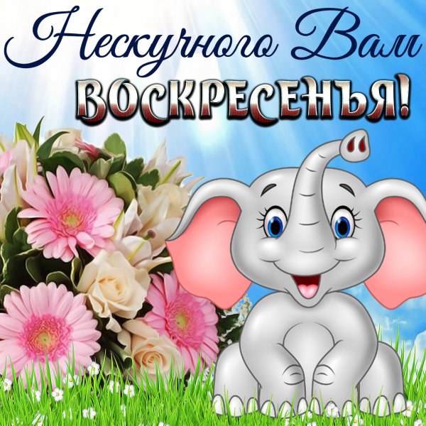 Воскресного дня пожелания