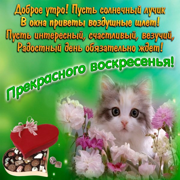 Воскресного дня пожелания