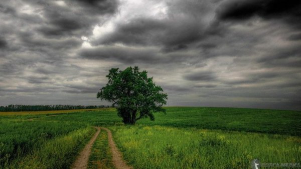 Пасмурный день