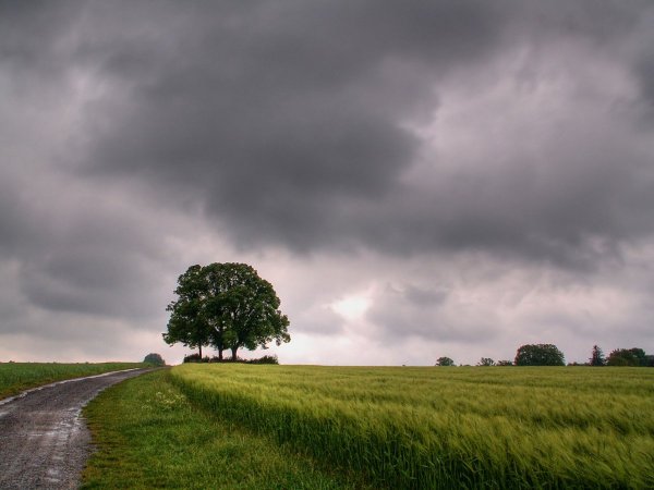 Пасмурный день