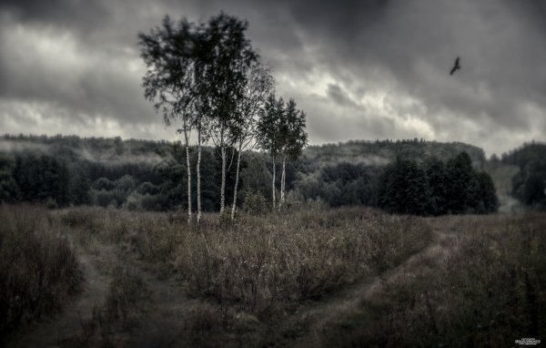 Хмурая природа