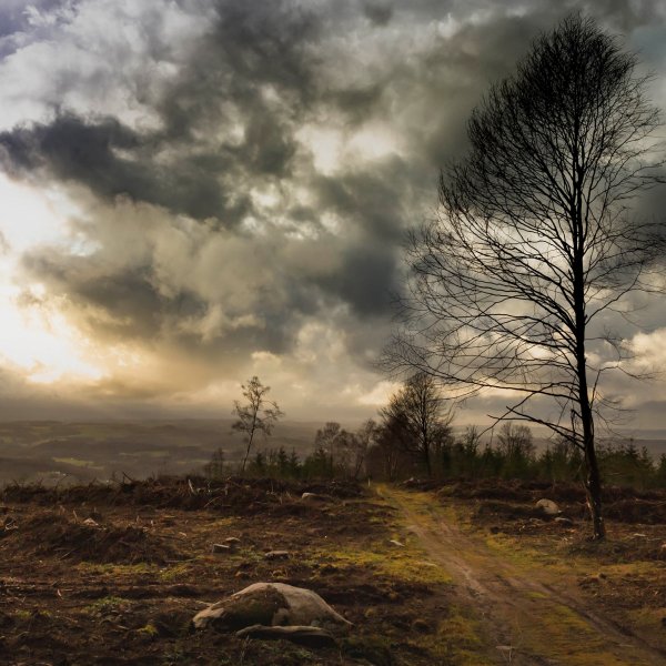 Хмурая осень