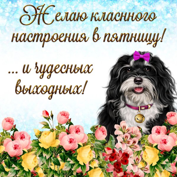 Пятница пожелания хорошего дня