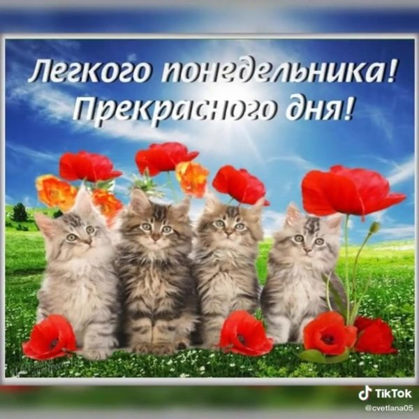 Открытки понедельник день прекрасный