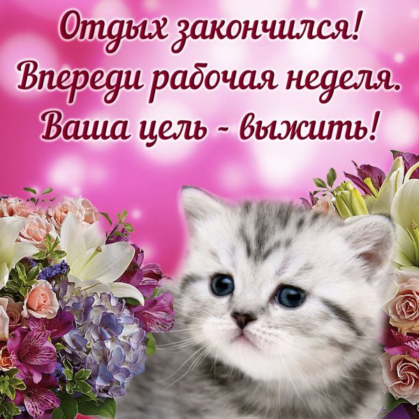 Пожелания на понедельник