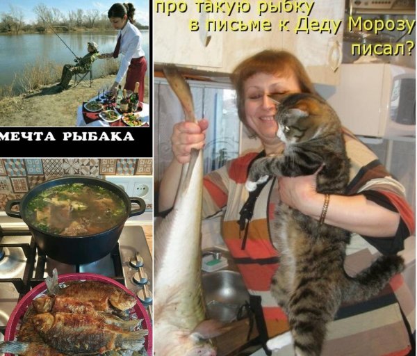 Четверг рыбный день приколы