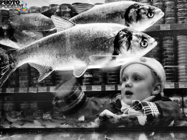 Вторник рыбный день