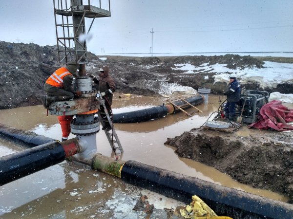 Вахтовики карикатура