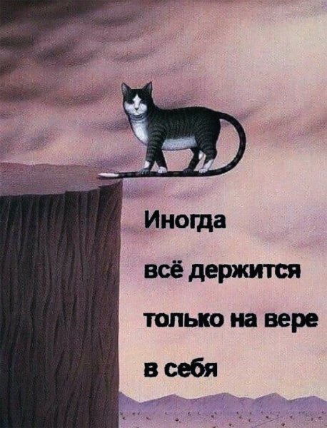 Мотивирующий котик