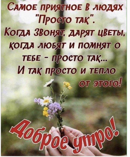 Хорошего дня умные высказывания