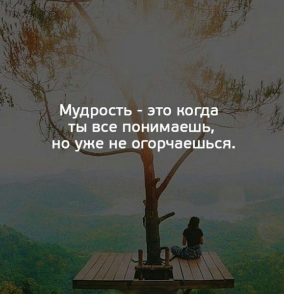 Мудрость жизни