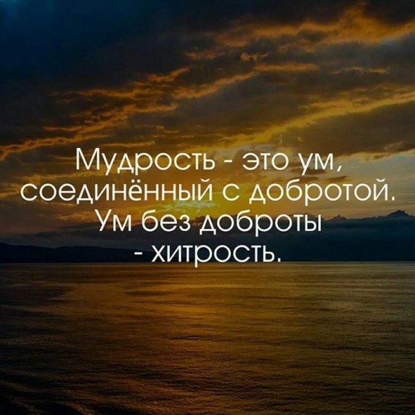 Умные фразы